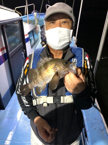 ヤザワ渡船 釣果