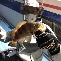 ヤザワ渡船 釣果