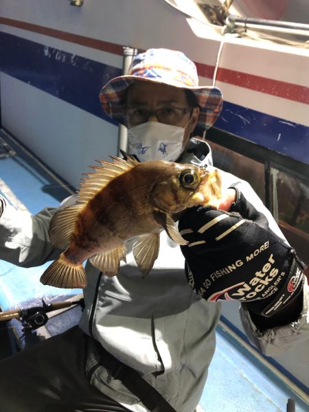 ヤザワ渡船 釣果