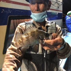 ヤザワ渡船 釣果