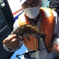 ヤザワ渡船 釣果