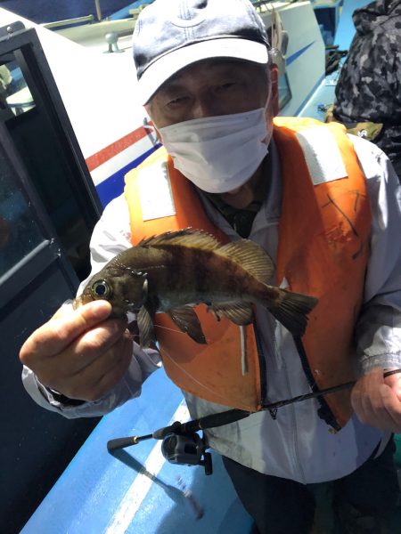 ヤザワ渡船 釣果