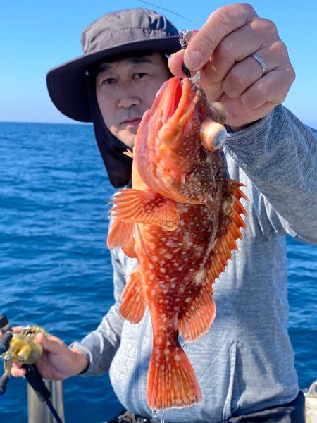 あみや渡船 JIGBOY 釣果