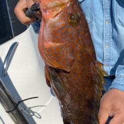 あみや渡船 JIGBOY 釣果