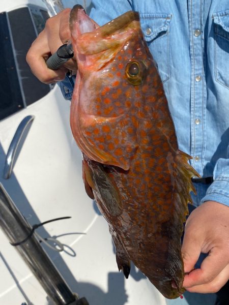 あみや渡船 JIGBOY 釣果