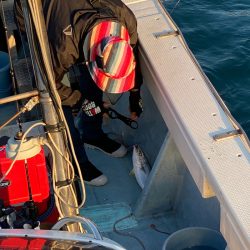 あみや渡船 JIGBOY 釣果