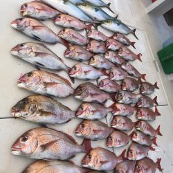 大雄丸 釣果