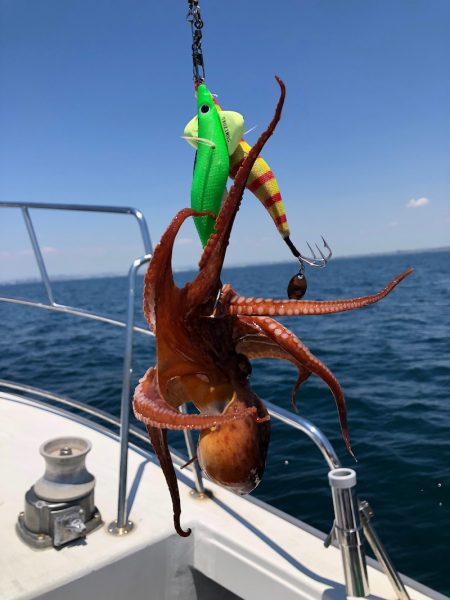 浜栄丸 釣果