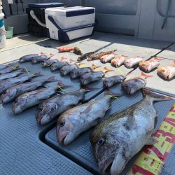 遊漁船高橋 釣果