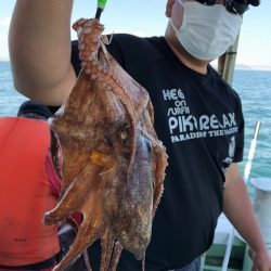 ヤザワ渡船 釣果