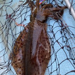 あみや渡船 JIGBOY 釣果