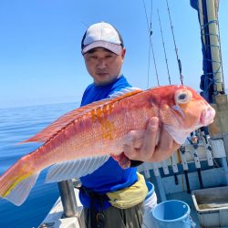 あみや渡船 JIGBOY 釣果