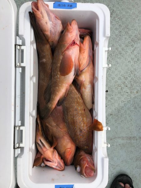 フィッシング キッタカ 釣果