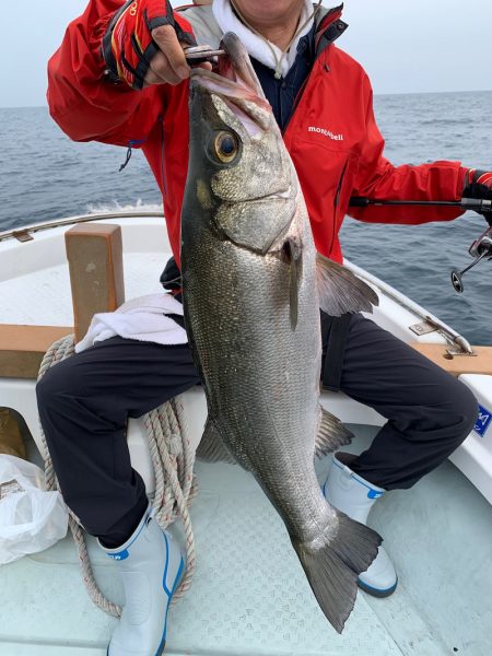 さくら丸 釣果