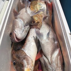 第二八坂丸 釣果