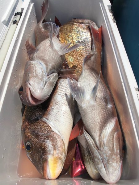 第二八坂丸 釣果