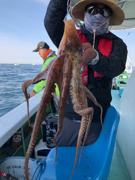 ヤザワ渡船 釣果