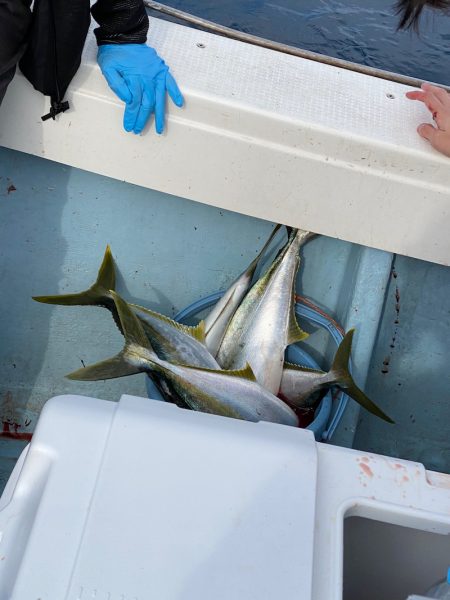 あみや渡船 JIGBOY 釣果