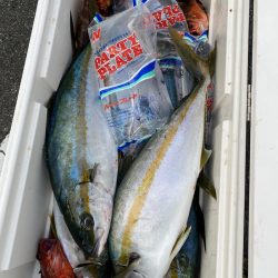 あみや渡船 JIGBOY 釣果