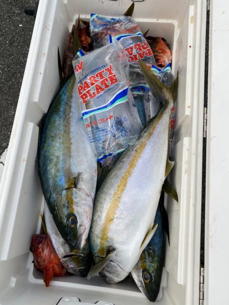 あみや渡船 JIGBOY 釣果