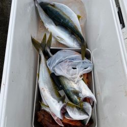 あみや渡船 JIGBOY 釣果