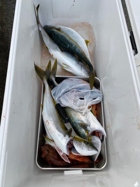 あみや渡船 JIGBOY 釣果