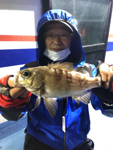 ヤザワ渡船 釣果
