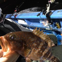 ヤザワ渡船 釣果