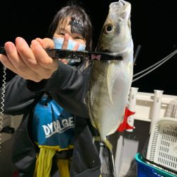 エヌスタイル 釣果
