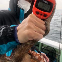 ヤザワ渡船 釣果