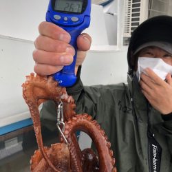 ヤザワ渡船 釣果