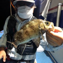 ヤザワ渡船 釣果