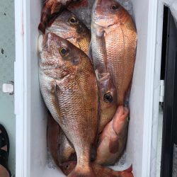 フィッシング　キッタカ 釣果