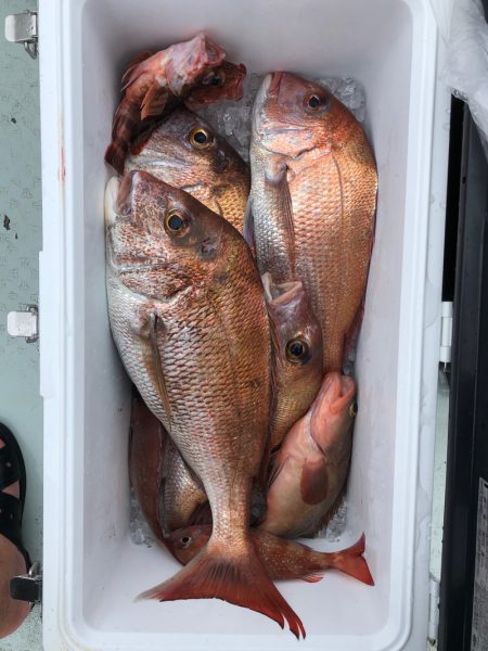 フィッシング　キッタカ 釣果