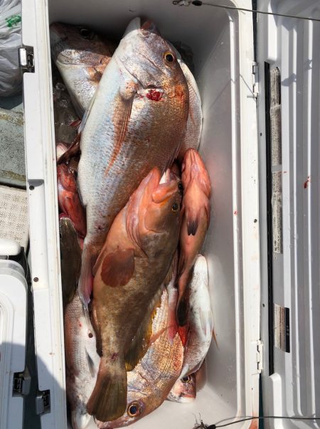 フィッシング キッタカ 釣果