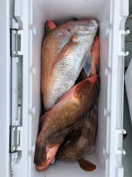 フィッシング　キッタカ 釣果