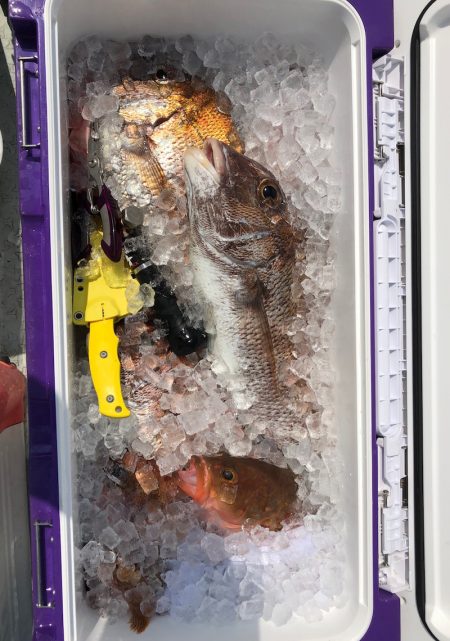 フィッシング キッタカ 釣果