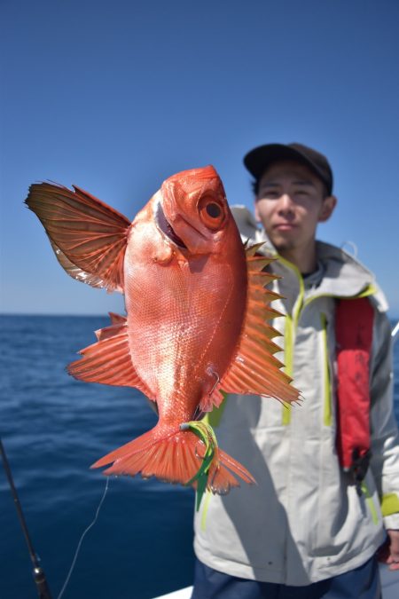 渡船屋たにぐち 釣果
