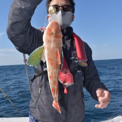 渡船屋たにぐち 釣果