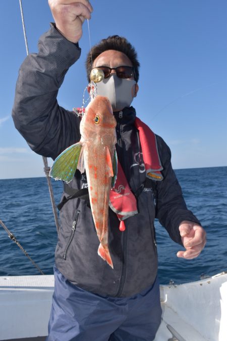 渡船屋たにぐち 釣果