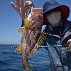 渡船屋たにぐち 釣果
