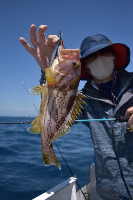 渡船屋たにぐち 釣果