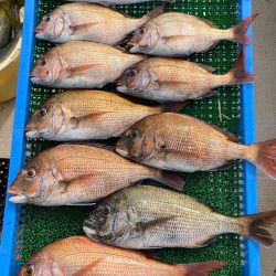 釣人家 釣果