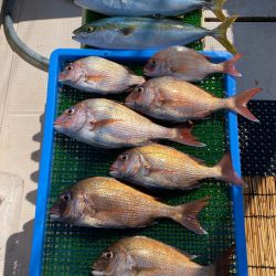 釣人家 釣果