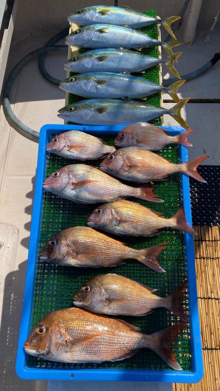 釣人家 釣果