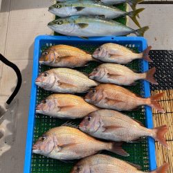 釣人家 釣果