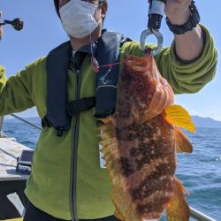 海季丸（みきまる） 釣果