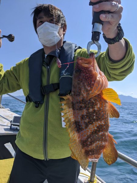 海季丸（みきまる） 釣果