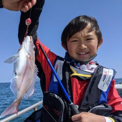 海季丸（みきまる） 釣果