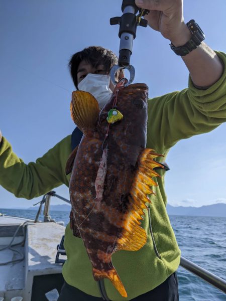 海季丸（みきまる） 釣果
